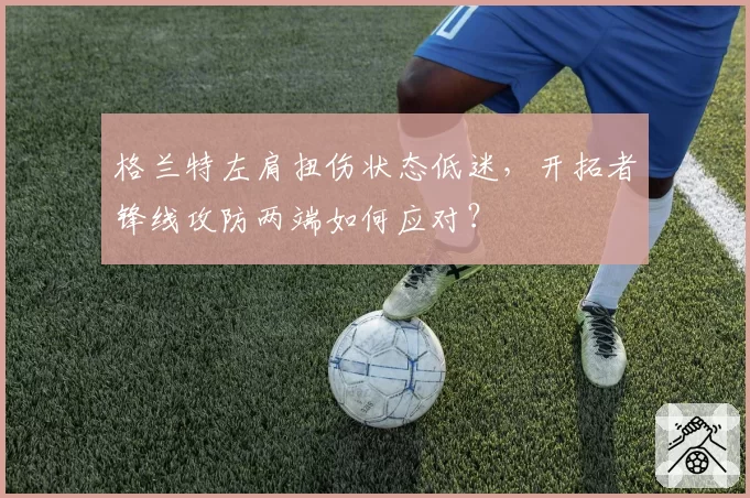 格兰特左肩扭伤状态低迷,开拓者锋线攻防两端如何应对?